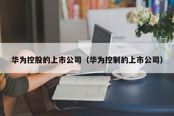 华为控股的上市公司（华为控制的上市公司）