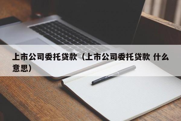 上市公司委托贷款（上市公司委托贷款 什么意思）