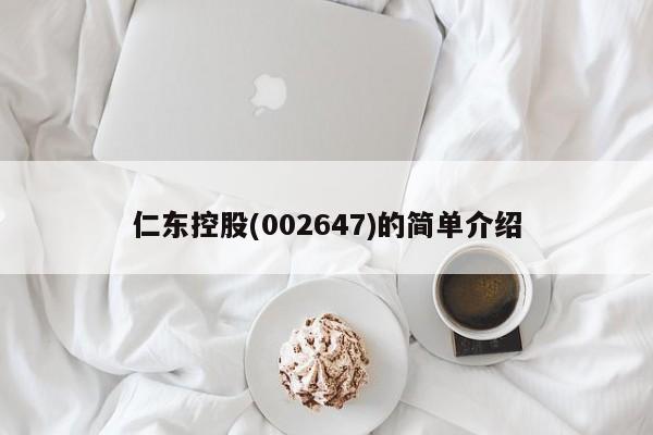 仁东控股(002647)的简单介绍