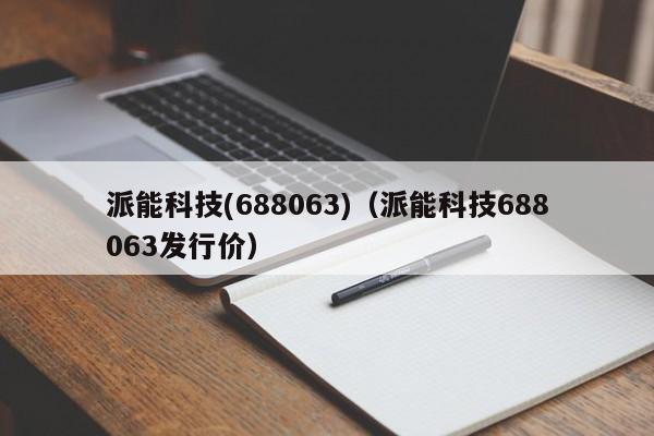 派能科技(688063)（派能科技688063发行价）