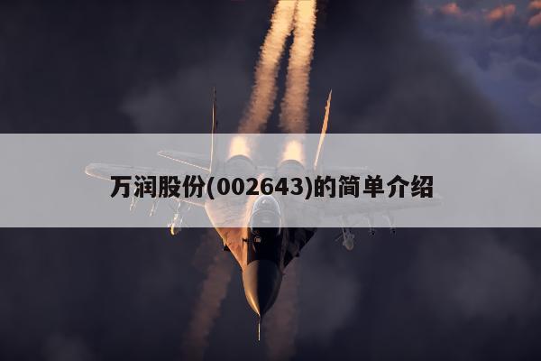 万润股份(002643)的简单介绍