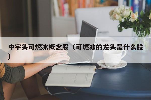 中字头可燃冰概念股（可燃冰的龙头是什么股）