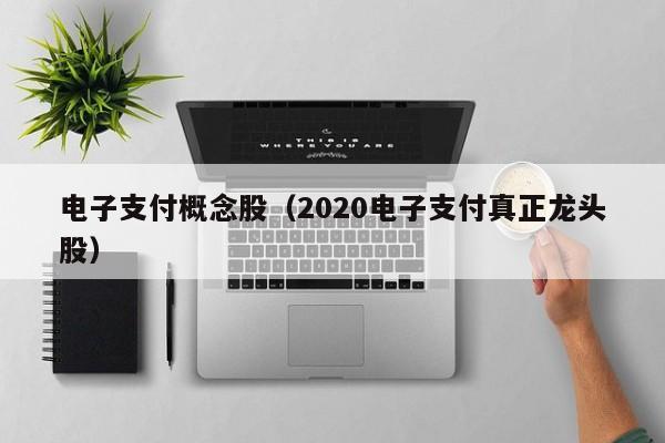 电子支付概念股（2020电子支付真正龙头股）