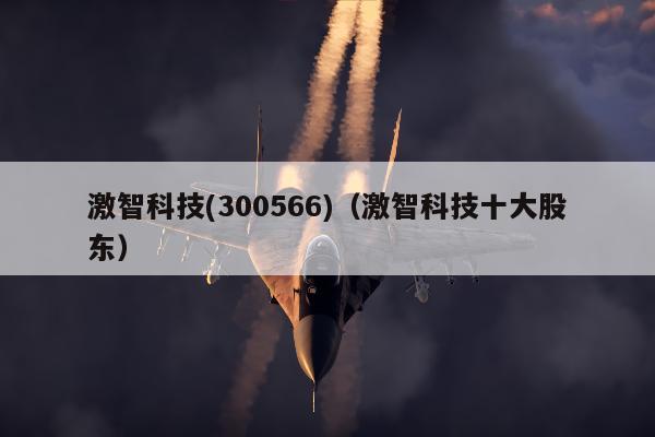 激智科技(300566)（激智科技十大股东）