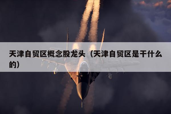 天津自贸区概念股龙头（天津自贸区是干什么的）