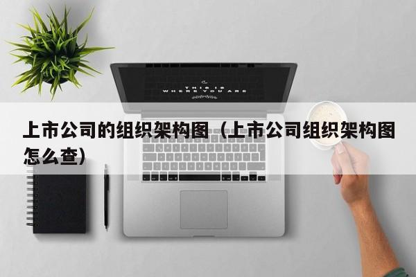 上市公司的组织架构图（上市公司组织架构图怎么查）