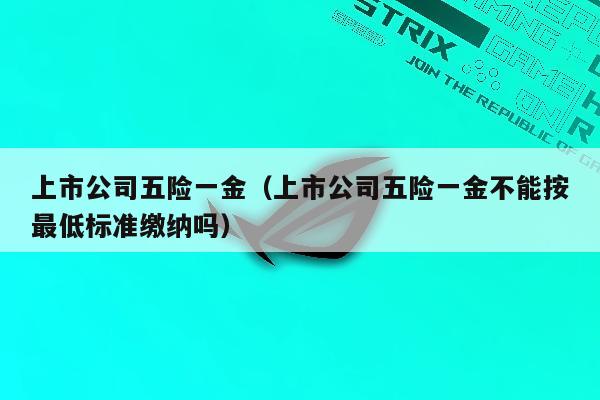 上市公司五险一金（上市公司五险一金不能按最低标准缴纳吗）