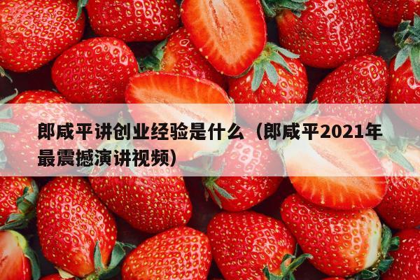 郎咸平讲创业经验是什么（郎咸平2021年最震撼演讲视频）