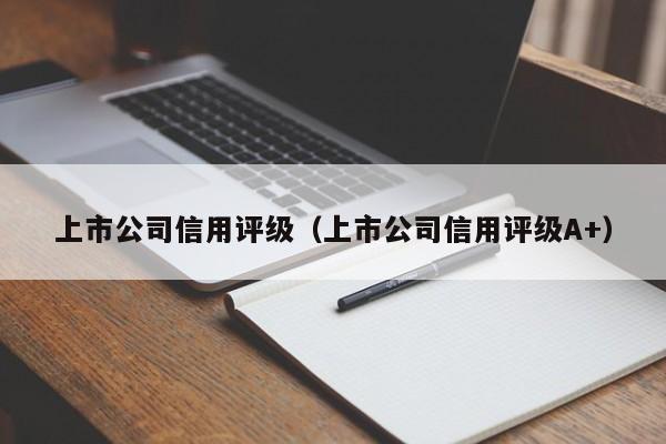 上市公司信用评级（上市公司信用评级A+）