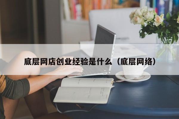 底层网店创业经验是什么（底层网络）