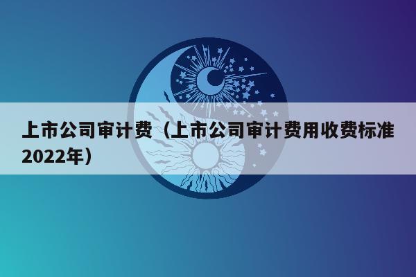 上市公司审计费（上市公司审计费用收费标准2022年）