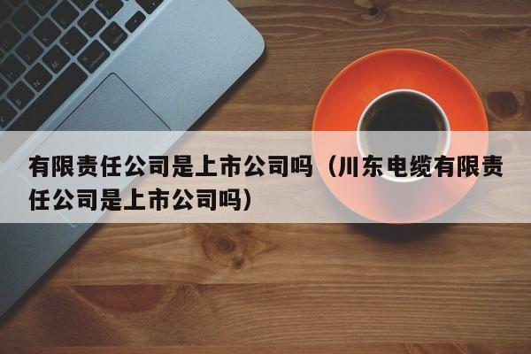 有限责任公司是上市公司吗（川东电缆有限责任公司是上市公司吗）