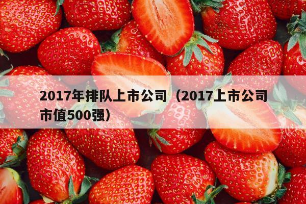 2017年排队上市公司（2017上市公司市值500强）