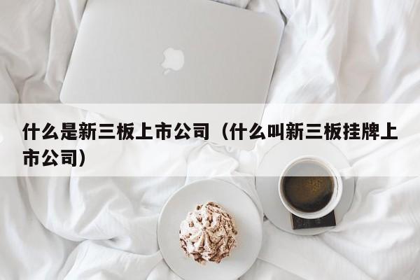 什么是新三板上市公司（什么叫新三板挂牌上市公司）