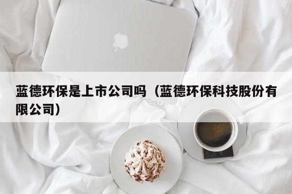 蓝德环保是上市公司吗（蓝德环保科技股份有限公司）