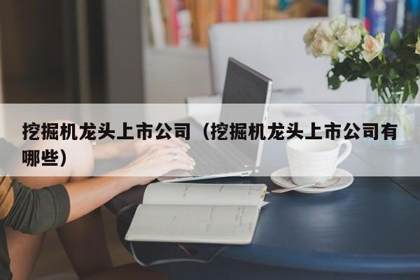 挖掘机龙头上市公司（挖掘机龙头上市公司有哪些）