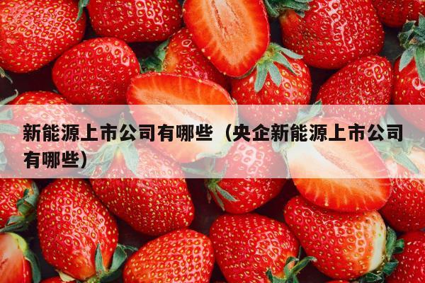 新能源上市公司有哪些（央企新能源上市公司有哪些）