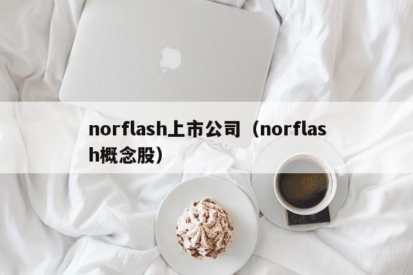 norflash上市公司（norflash概念股）