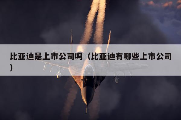 比亚迪是上市公司吗（比亚迪有哪些上市公司）