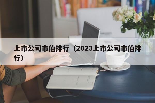 上市公司市值排行（2023上市公司市值排行）