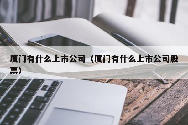 厦门有什么上市公司（厦门有什么上市公司股票）