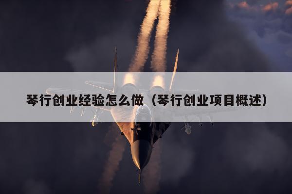 琴行创业经验怎么做（琴行创业项目概述）