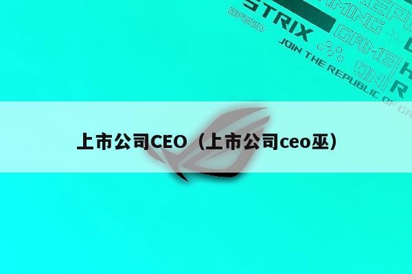 上市公司CEO（上市公司ceo巫）