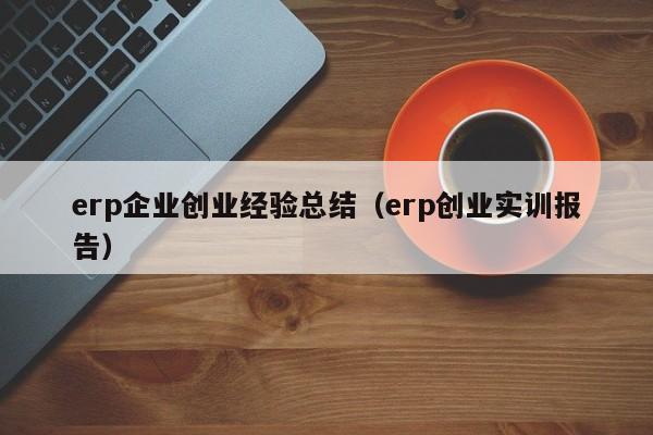 erp企业创业经验总结（erp创业实训报告）