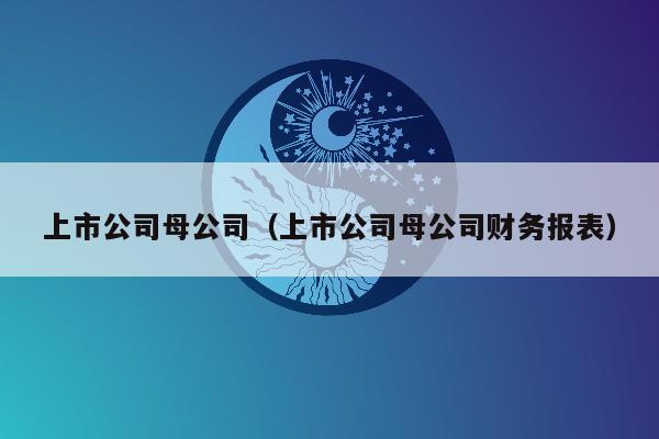 上市公司母公司（上市公司母公司财务报表）