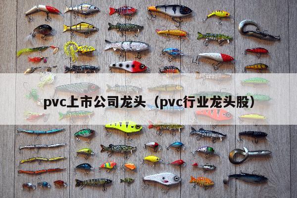 pvc上市公司龙头（pvc行业龙头股）