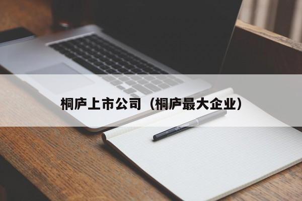 桐庐上市公司（桐庐最大企业）