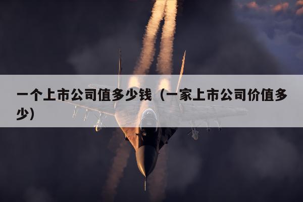 一个上市公司值多少钱（一家上市公司价值多少）