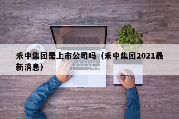 禾中集团是上市公司吗（禾中集团2021最新消息）