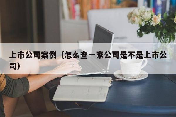 上市公司案例（怎么查一家公司是不是上市公司）