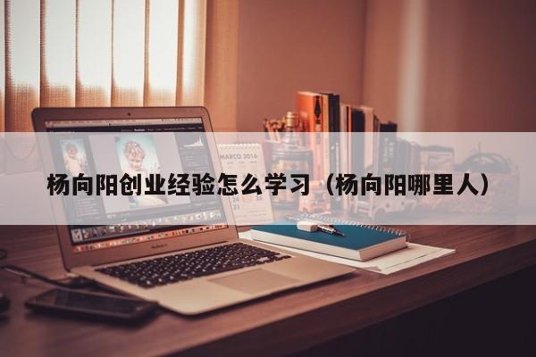 杨向阳创业经验怎么学习（杨向阳哪里人）