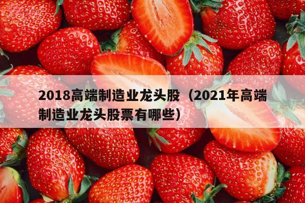 2018高端制造业龙头股（2021年高端制造业龙头股票有哪些）