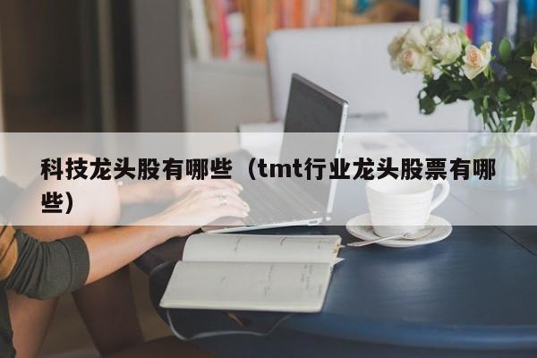 科技龙头股有哪些（tmt行业龙头股票有哪些）