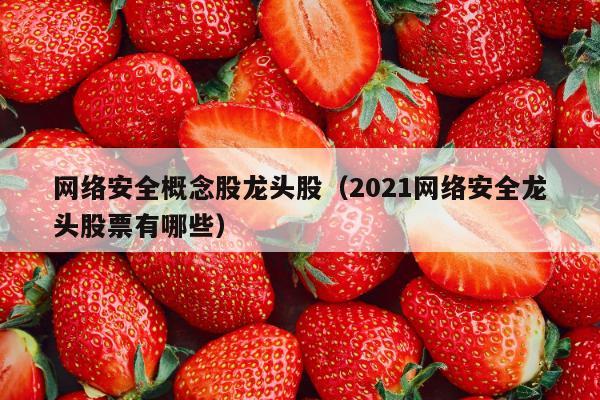 网络安全概念股龙头股（2021网络安全龙头股票有哪些）