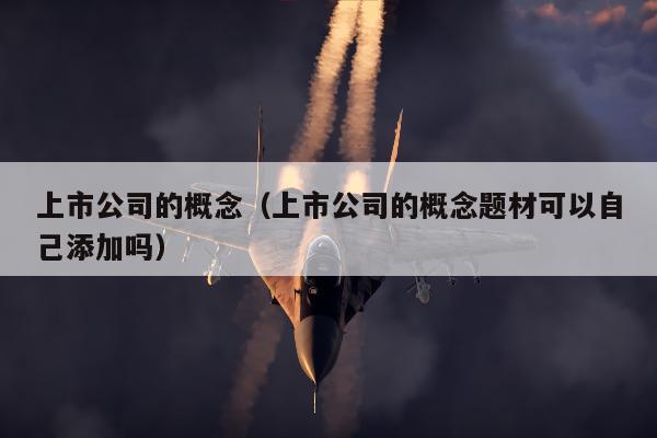 上市公司的概念（上市公司的概念题材可以自己添加吗）