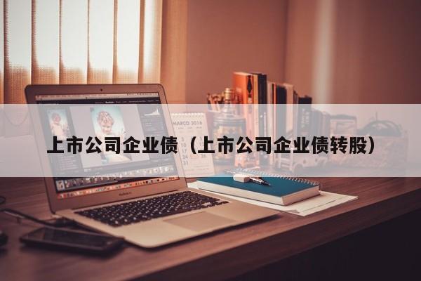 上市公司企业债（上市公司企业债转股）