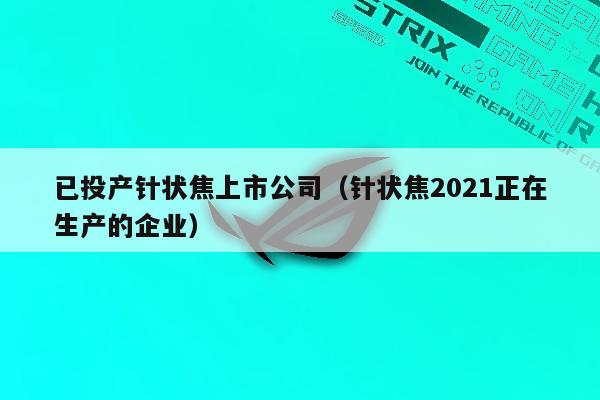 已投产针状焦上市公司（针状焦2021正在生产的企业）