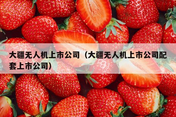 大疆无人机上市公司（大疆无人机上市公司配套上市公司）