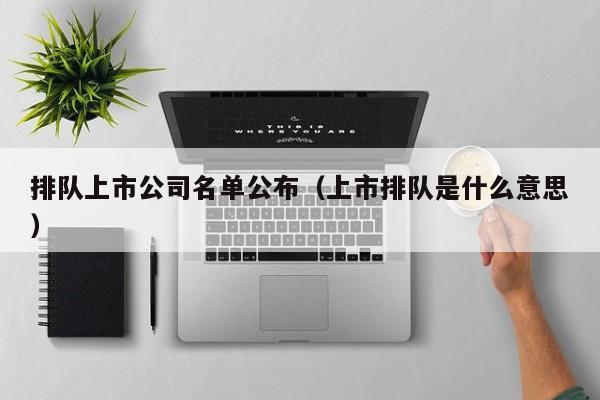 排队上市公司名单公布（上市排队是什么意思）