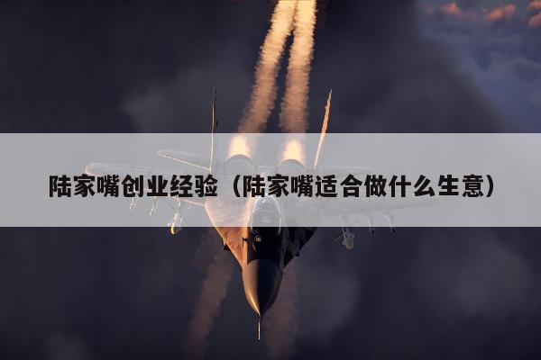 陆家嘴创业经验（陆家嘴适合做什么生意）