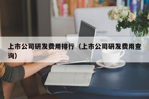 上市公司研发费用排行（上市公司研发费用查询）