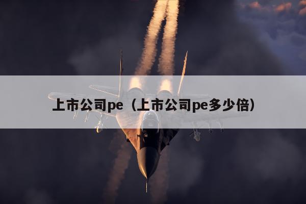 上市公司pe（上市公司pe多少倍）