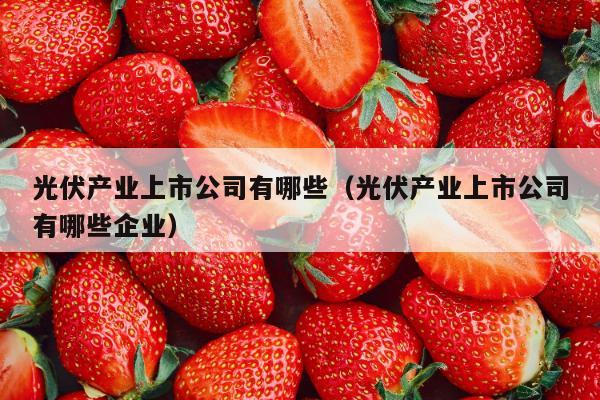 光伏产业上市公司有哪些（光伏产业上市公司有哪些企业）