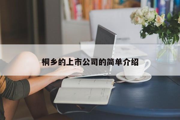 桐乡的上市公司的简单介绍