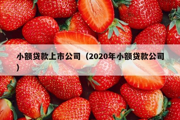 小额贷款上市公司（2020年小额贷款公司）