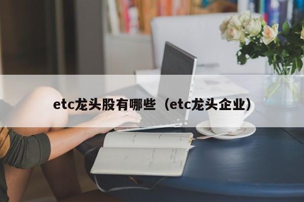 etc龙头股有哪些（etc龙头企业）